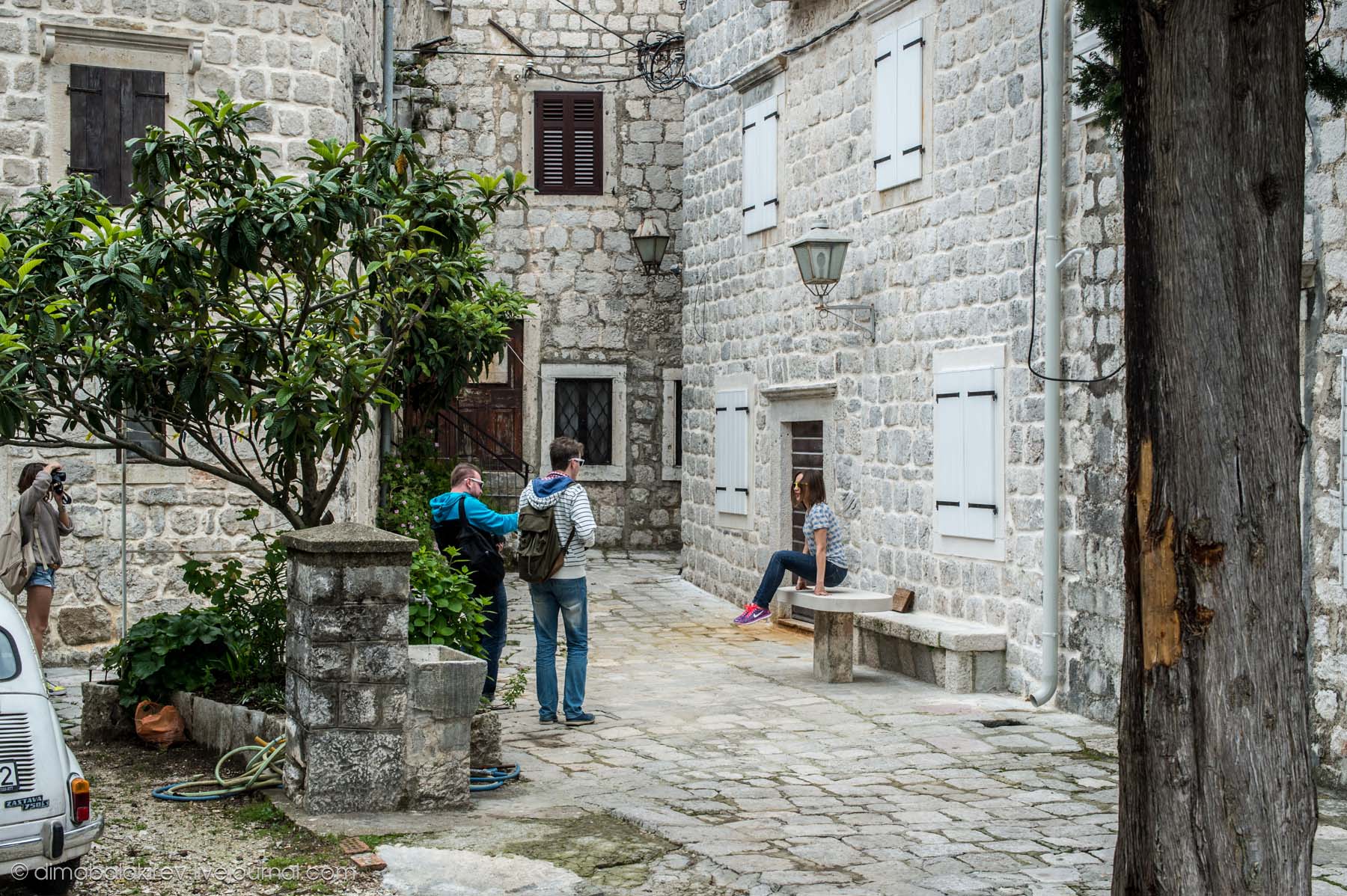 Kotor